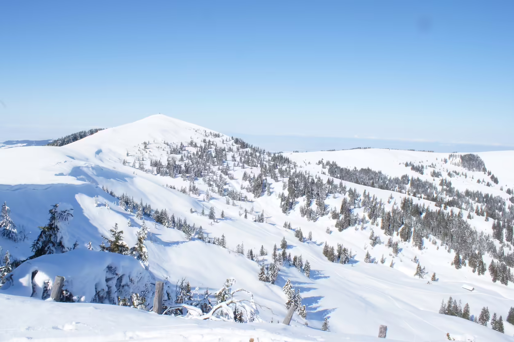 Freiburg schützt Wildtiere: Neue Ruhezonen ab 2025 angekündigt!