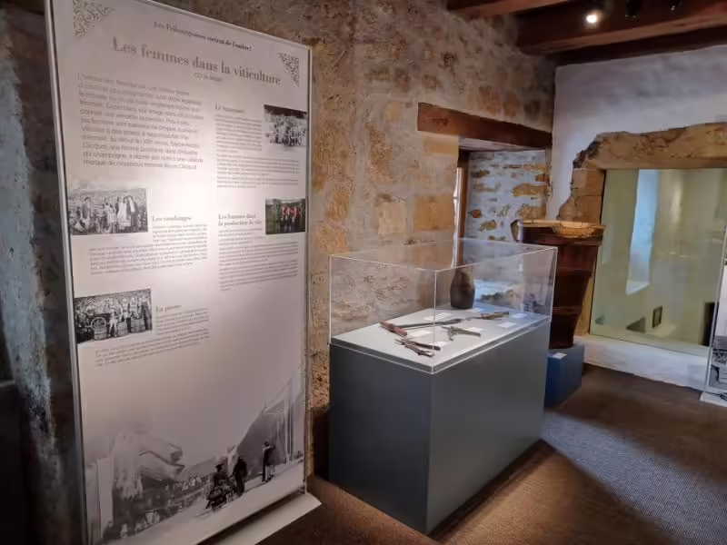 Freiburger Schülerinnen zeigen: Frauen im Weinbau und mehr!