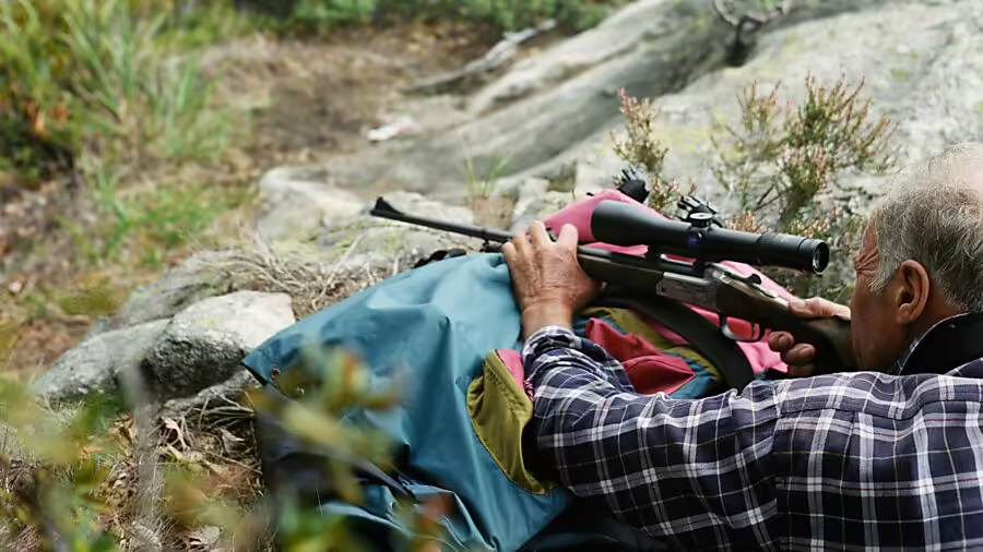 Hochwildjagd 2024: 750 Tiere erlegt – Erfolgreiche Bilanz in Glarus!