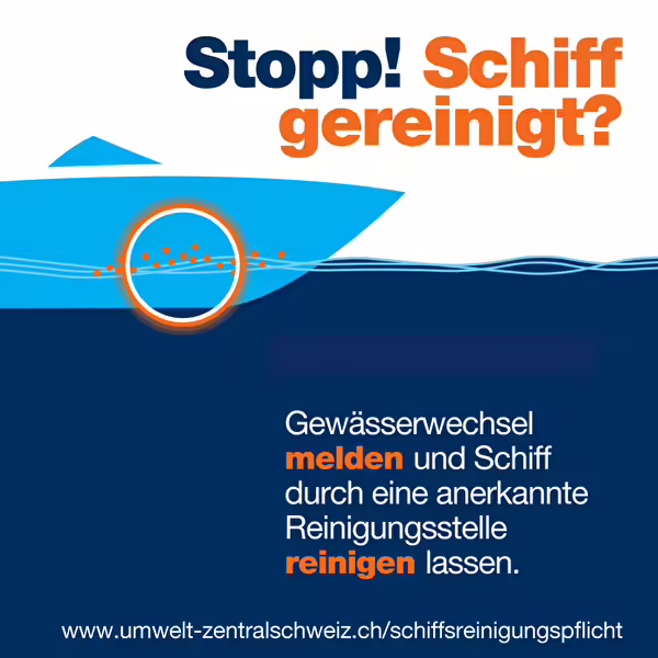 Quagga-Muscheln bedrohen Zentralschweizer Gewässer – Jetzt handeln!