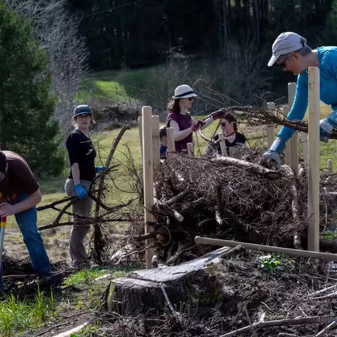 Renaturierung der Kaubadweiher: Ein Rückzugsort für die Tierwelt!