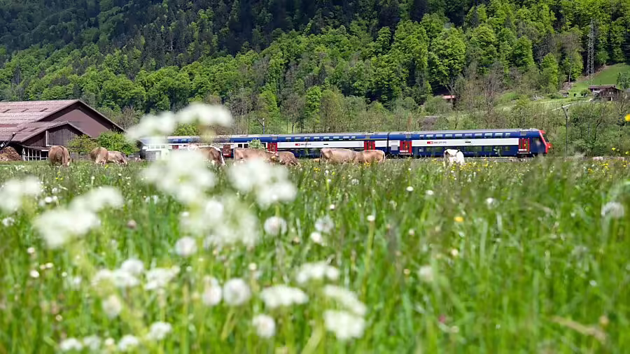 Öffentlicher Verkehr im Kanton Glarus: Neues Gesetz in Sicht!