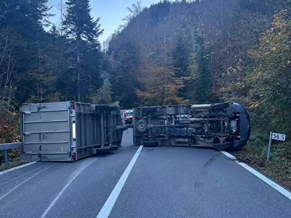 Viehtransporter kippt am Brünigpass um – Fahrer verletzt, Kälber retten!