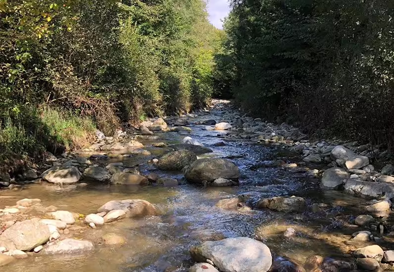 Wasserqualität im Fokus: So steht es um Freiburger Gewässer 2021!