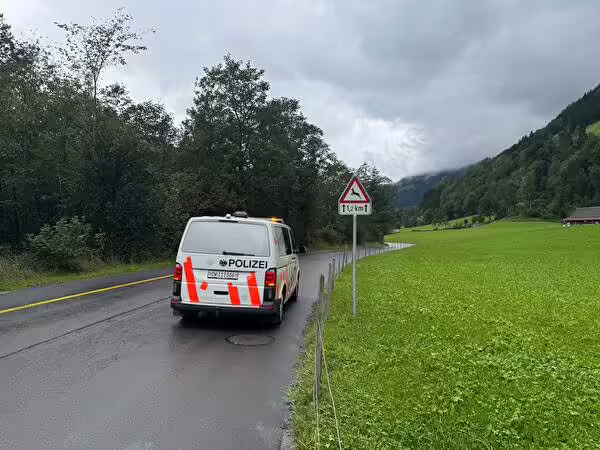 Wildunfälle verhindern: So schützen Sie sich auf der Straße!
