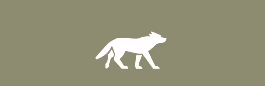 Wolfsrisse 2024: Nur vier Tiere gerissen – Herdenschutz wirkt!