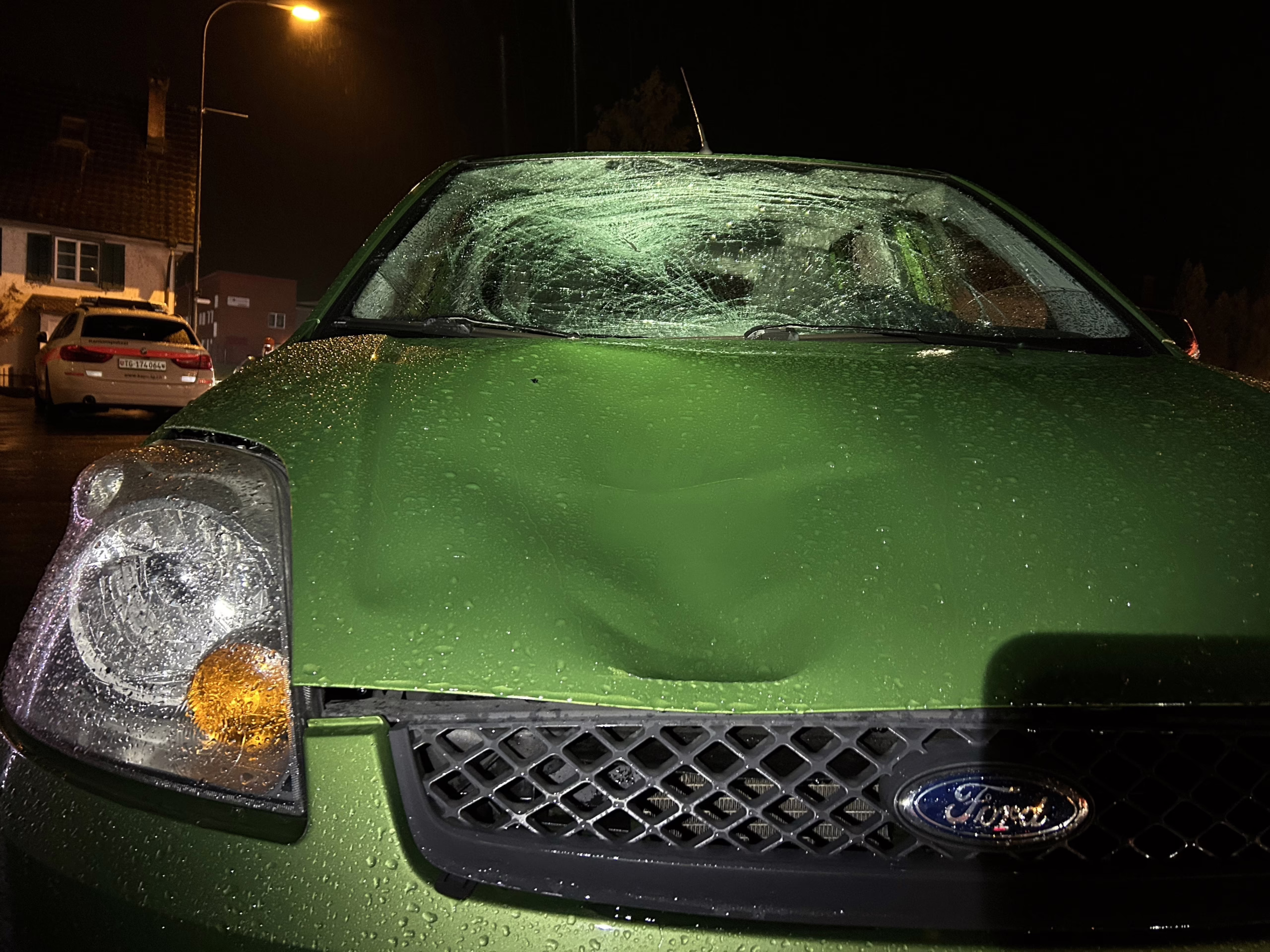 Fussgängerin und Hund bei Unfall in Egnach verletzt – Fahrer unter Schock!