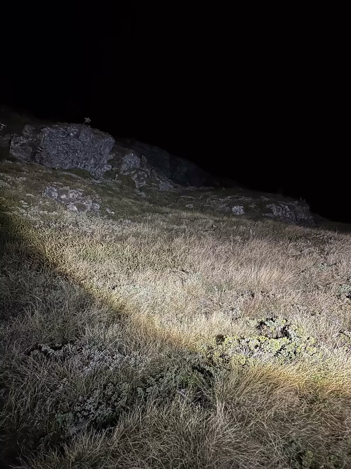 Tragischer Wanderunfall: Vermisste Frau in Silvaplana tot geborgen