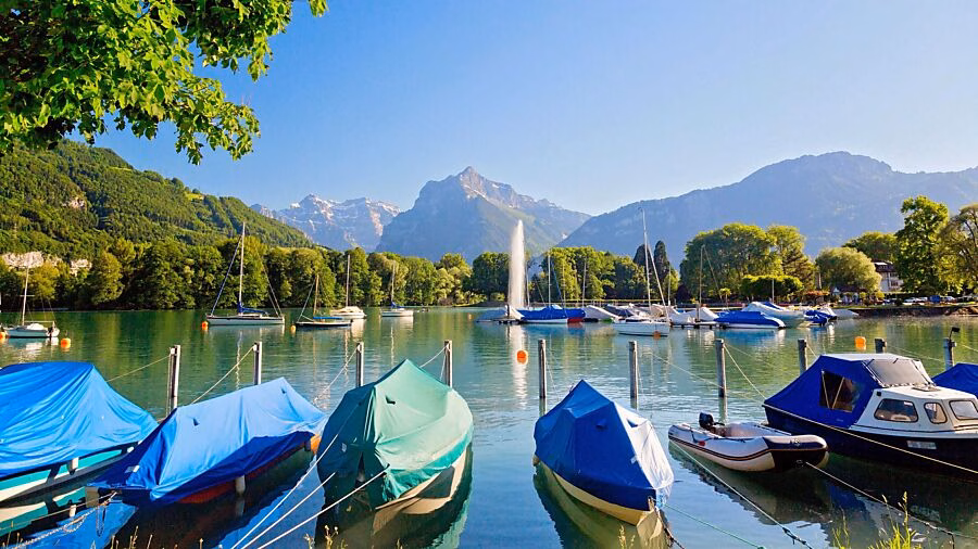 Einwasserungsverbot bei Klöntaler- und Walensee: Schutz vor Quaggamuscheln!