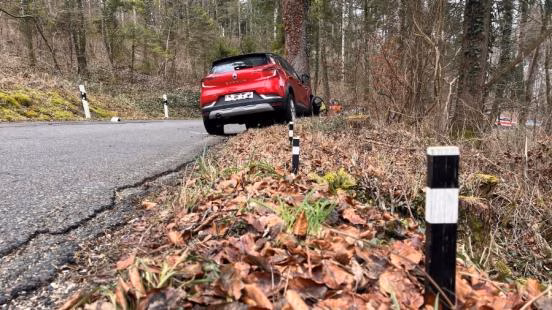 78-Jährige prallt mit Auto gegen Baum – Regensbergstrasse gesperrt!