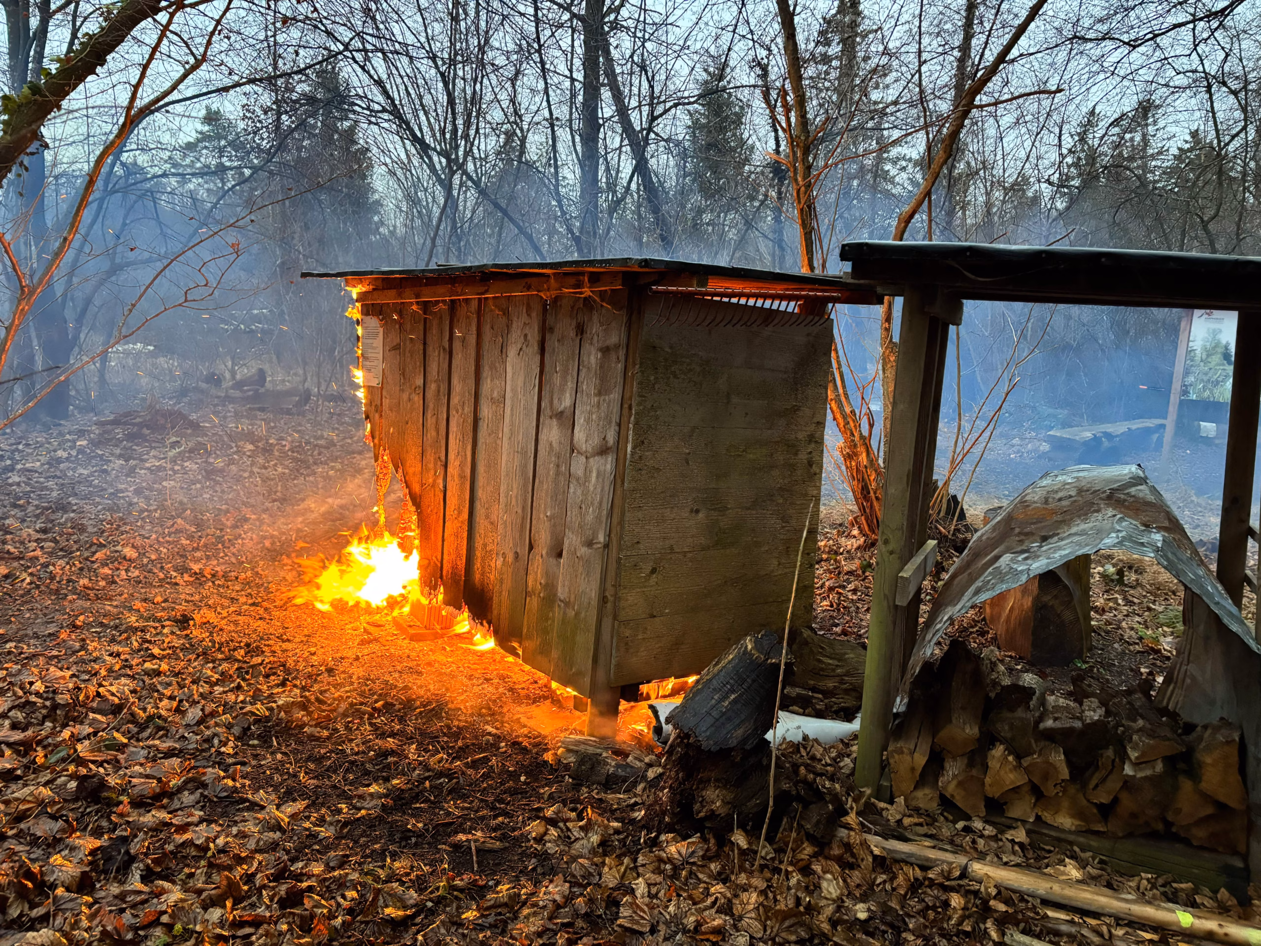 Brand in Stettfurt: Holzunterstand bei Grillstelle komplett zerstört!