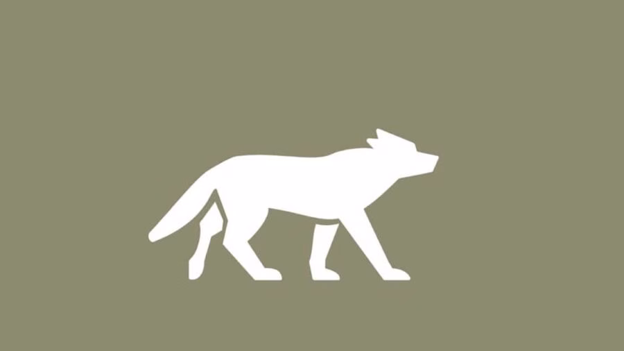 Wolf greift Rind an: Dritter Vorfall schockt die Urner Bevölkerung!