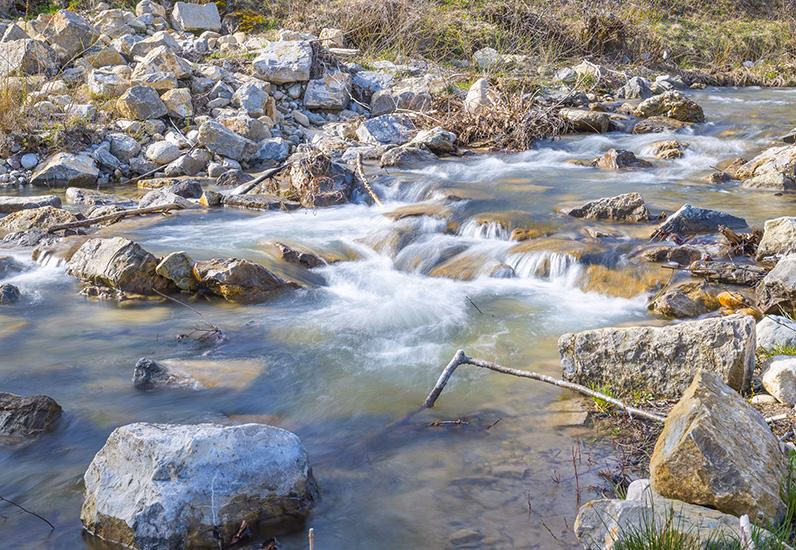 Lebendige Gewässer: So verwandeln wir die Natur in unserer Region!