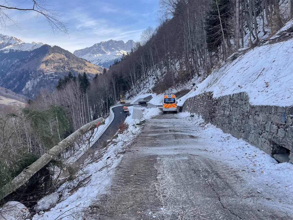 Forstarbeiter zwischen Bagger und Mauer eingeklemmt – Lehrling im Spital!