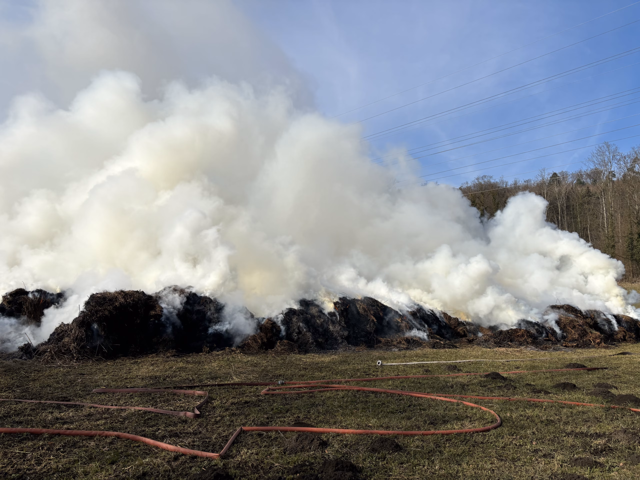 Schilfbrand in Etzwilen: Feuerwehr löscht gefährliches Feuer!