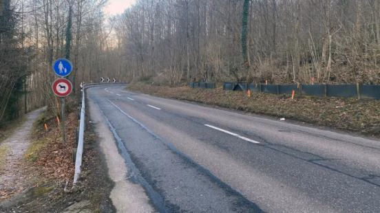 Sichere Zukunft für Oetwil: Strassenbau mit Amphibienschutz beginnt!