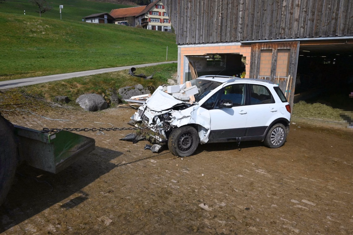 Auto-Ausflug endet fatal: 68-Jähriger verletzt, Kuh eingeschläfert!