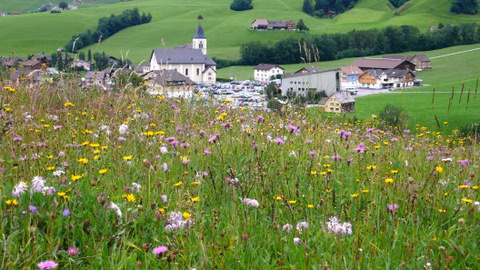 Die Wiesenmeisterschaft in Appenzell: Blühende Vielfalt feiern!