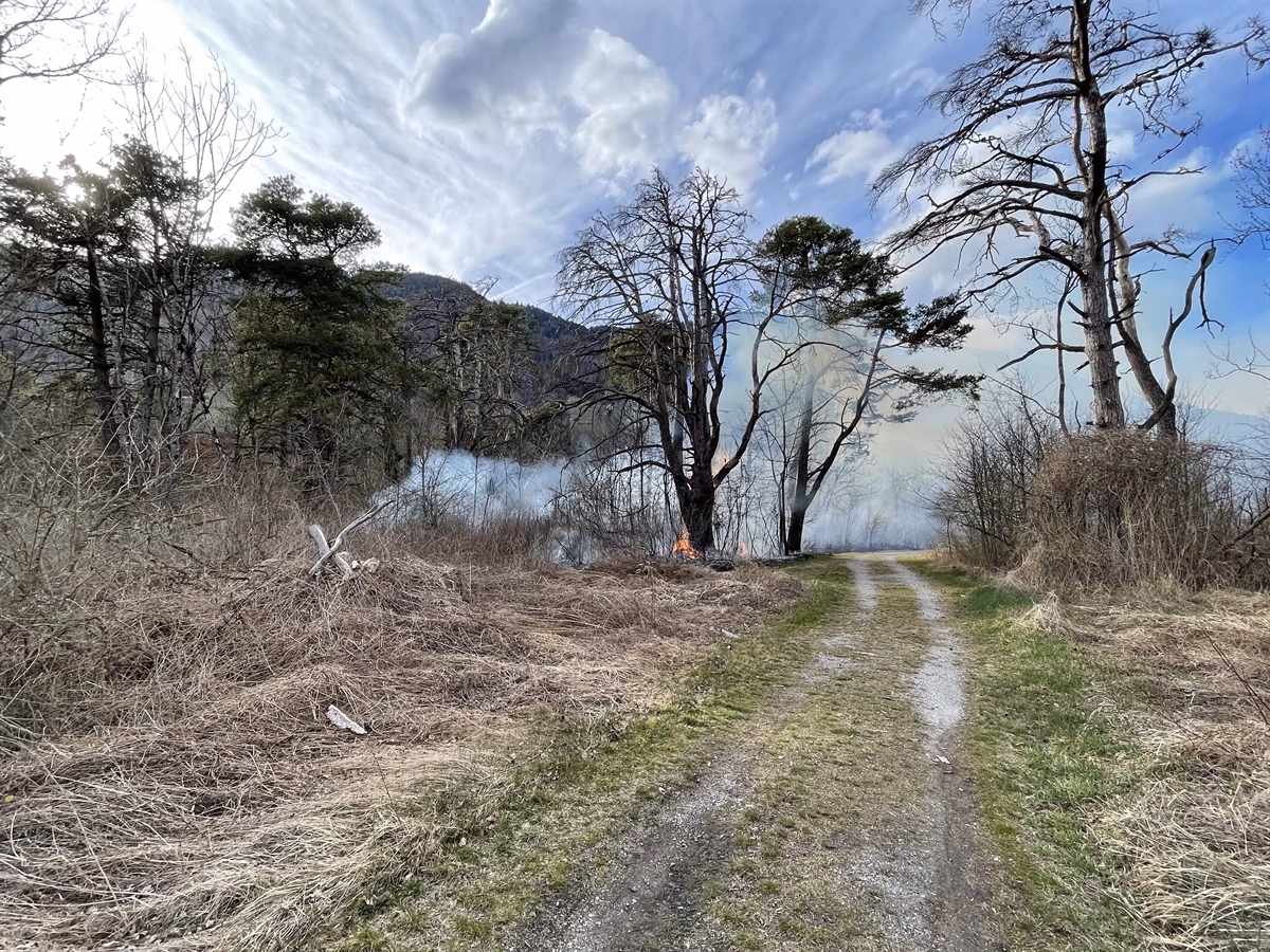 Großbrand in Zizers: Auenwald steht in Flammen! 24 Feuerwehrleute im Einsatz!
