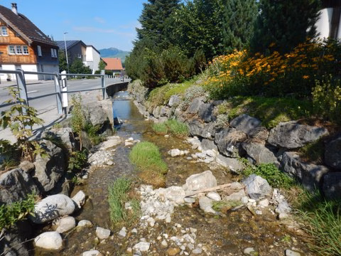 Hochwasserschutz in Steinegg: Projekt für Pöppelbach und Haltenbach startet