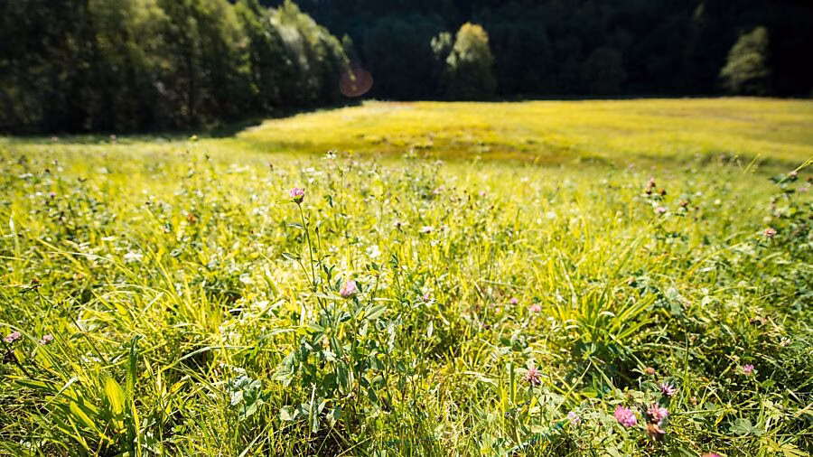 Regierungsrat sichert 22 Millionen für Umweltprojekte in Glarus!