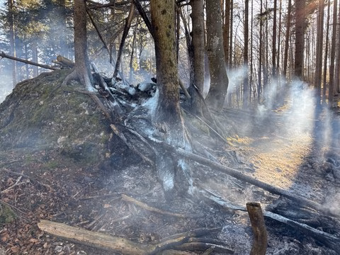 Feueralarm in Appenzell: Fünf Einsätze halten Feuerwehr in Atem!