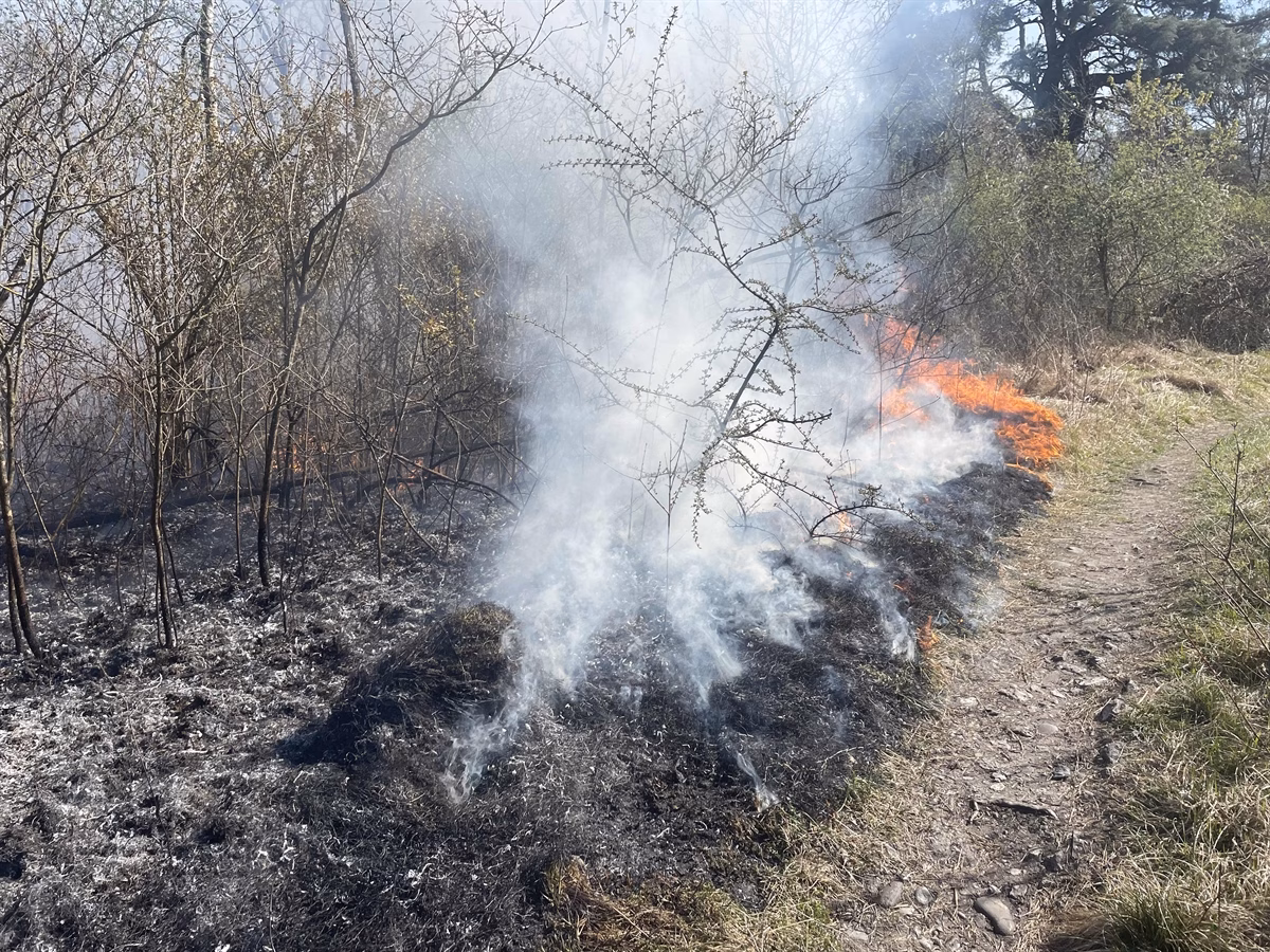 Flurbrand bei Zizers: Feuerwehr verhindert Schlimmeres an A13!