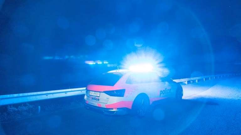 Autoeinbruch in Eyholz: Polizei sichert gestohlenes Fahrzeug in Frankreich!