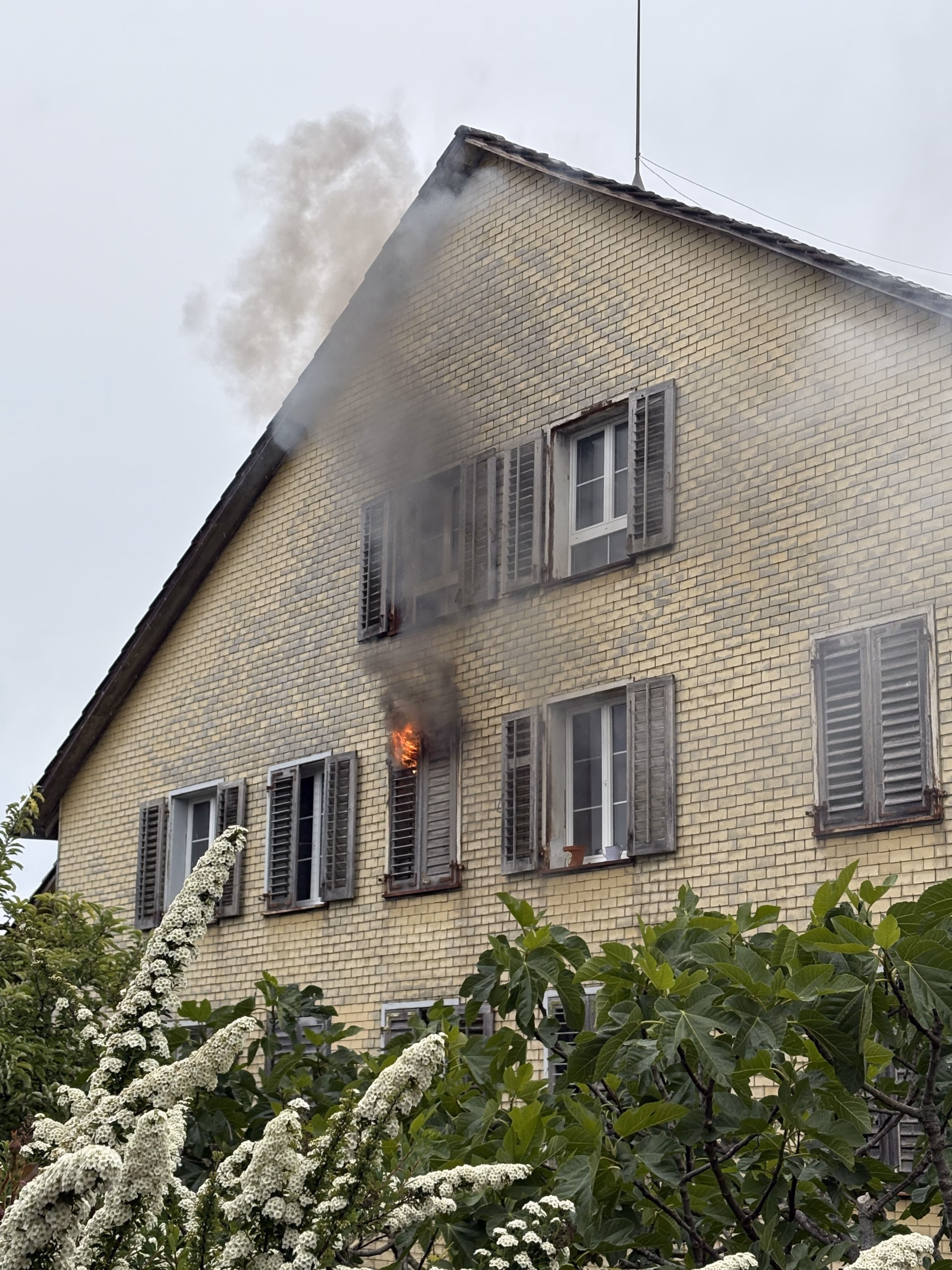 Feueralarm in Aadorf: Ölbrand in Mehrfamilienhaus verursacht hohen Schaden!