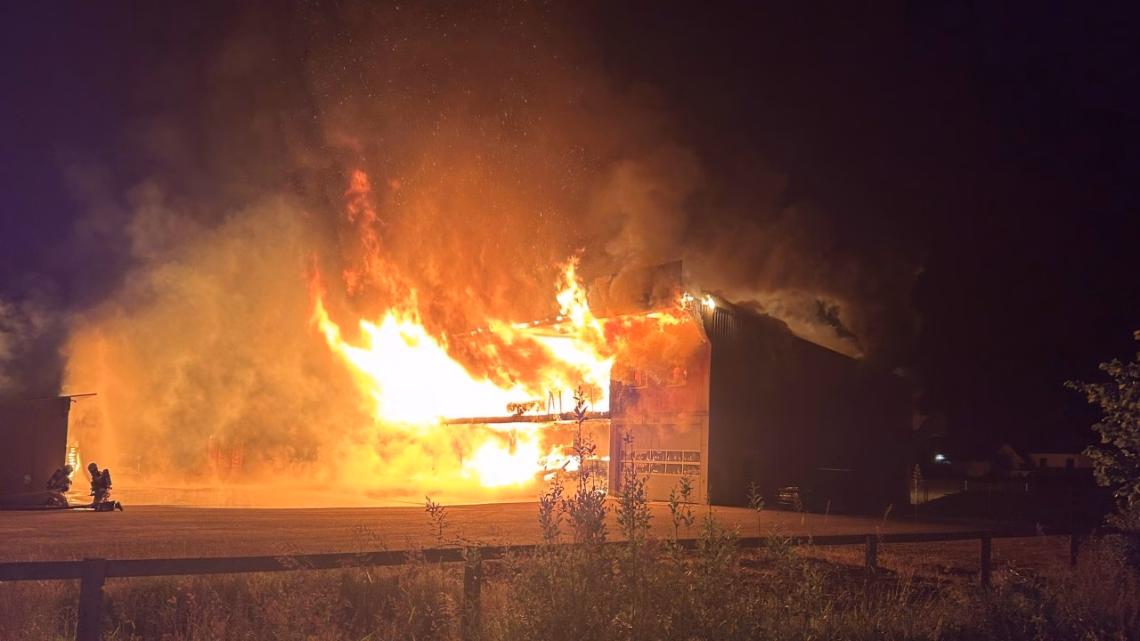 Großbrand in Bad Zurzach: Gartenbaugebäude nahezu vollständig zerstört!