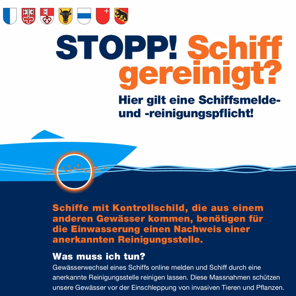 Saubere Gewässer: Zentralschweiz kämpft gegen die Quaggamuschel!
