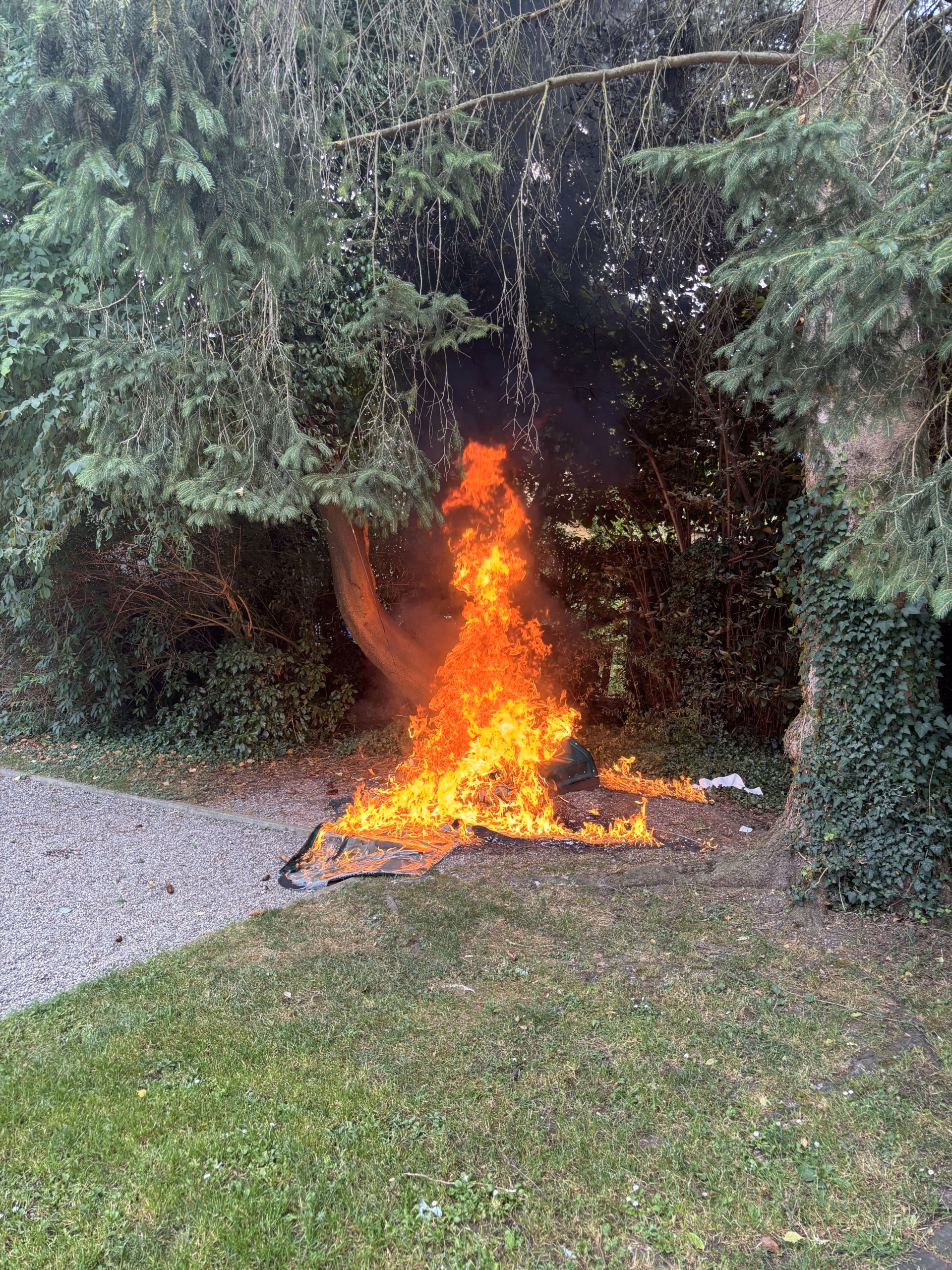 Brandstiftung in Frauenfeld: Toilette in Flammen – Polizei ermittelt!
