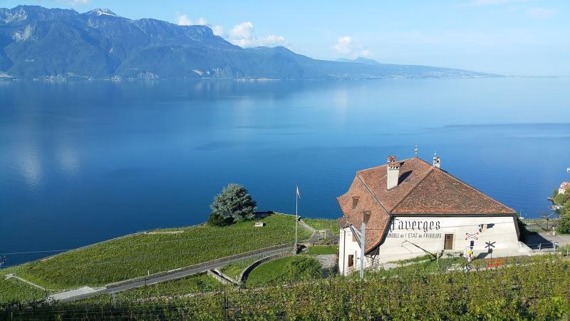 Neues Führungsduo für die Domaine des Faverges: Weinbau und Tourismus vereint!
