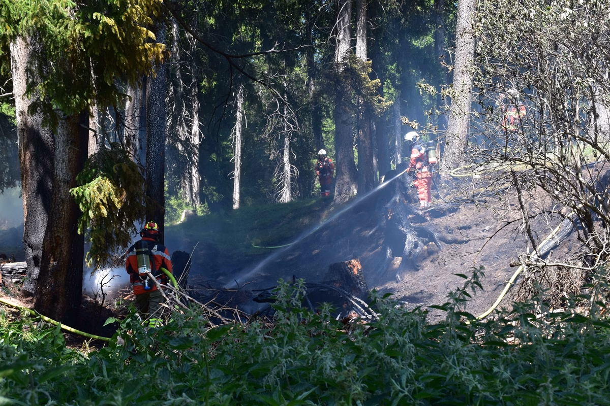 Waldbrand in Lenzerheide: Feuerwehren verhindern größere Katastrophe!