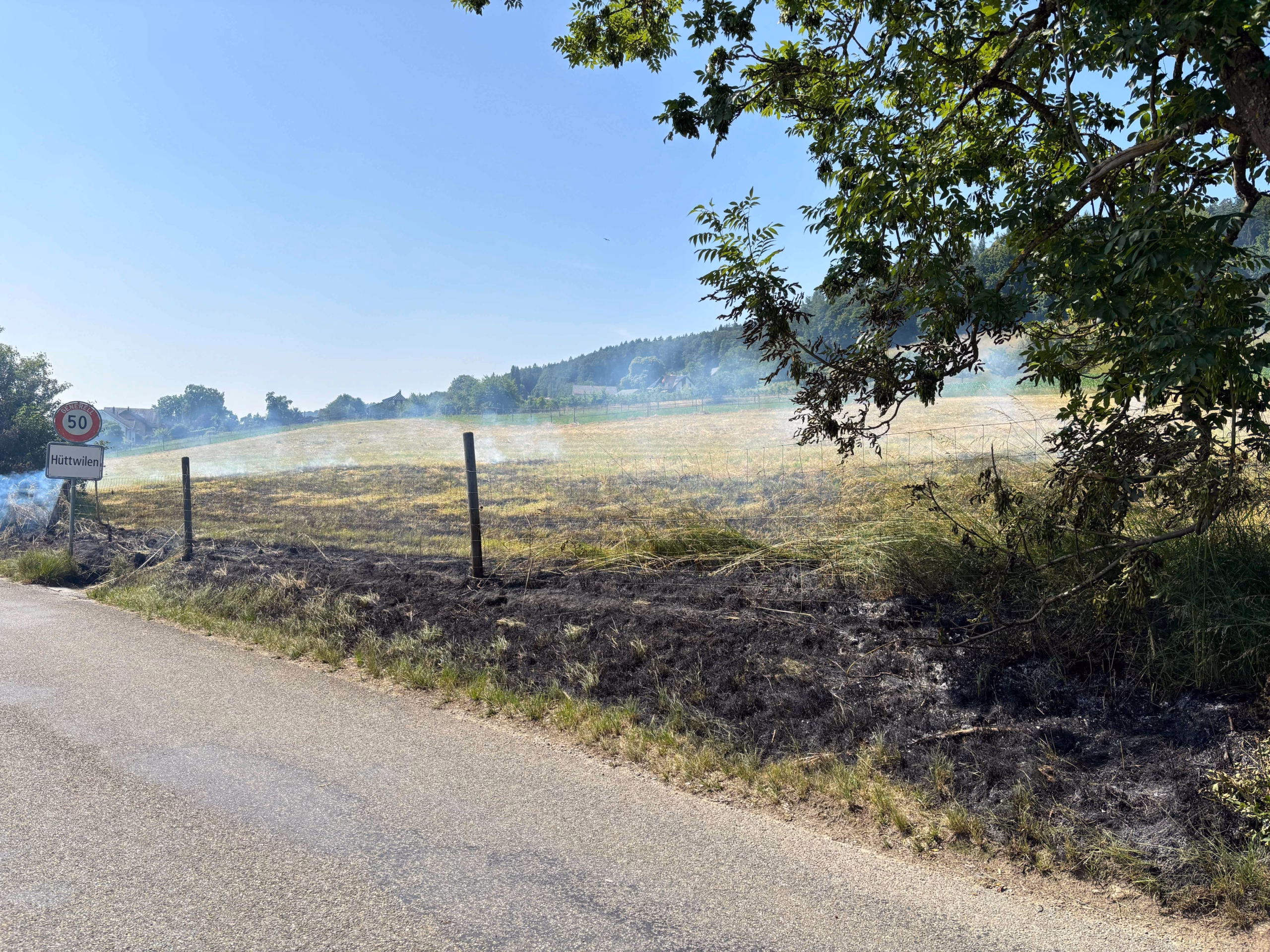 Wiesenbrand in Hüttwilen: Feuerwehr schnell im Einsatz, Ursache unklar!