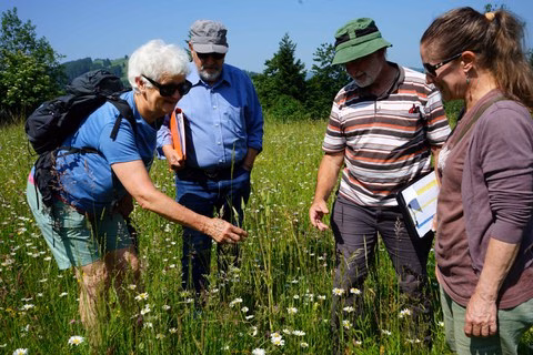Wiesenmeisterschaft 2025: Appenzeller Bauern feiern Artenvielfalt!