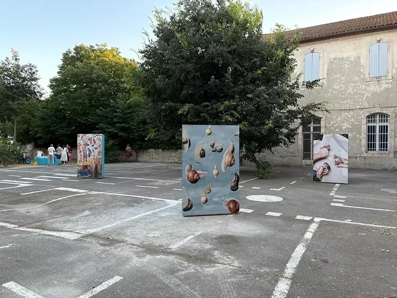 Freiburgerin Kubski begeistert in Arles mit wilder Foto-Enquête!