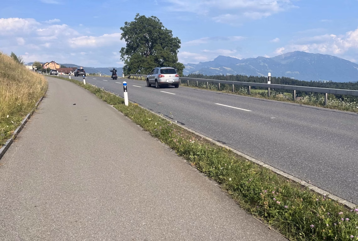 Zeugenaufruf: Flucht nach Streifenunfall in St. Gallenkappel!