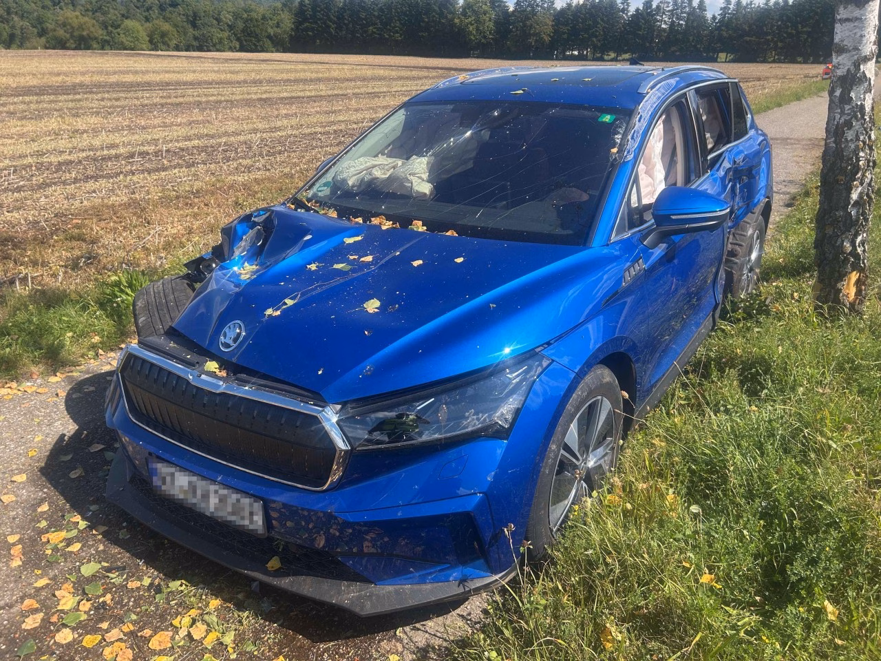 74-Jähriger rast in Rekingen gegen Randleitpfosten und Kandelaber!