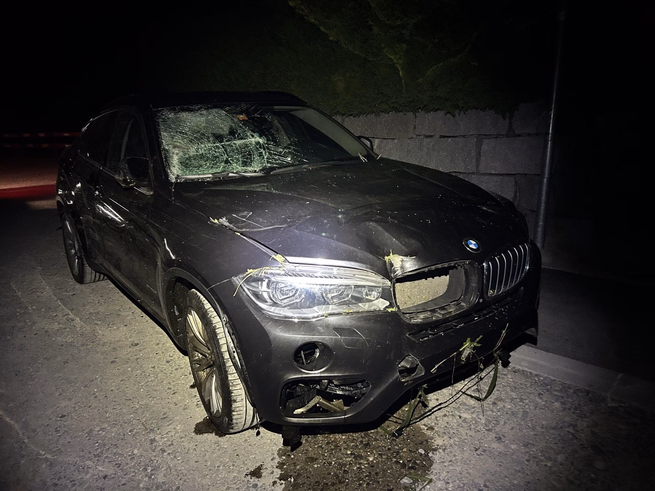BMW kracht im Maisfeld: Fahrer bleibt unverletzt, hohe Schäden!