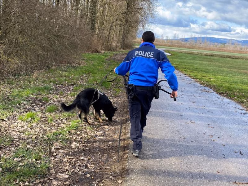 Polizei packt Einbrecher! Hunde Phil und Polly im Einsatz in Schmitten