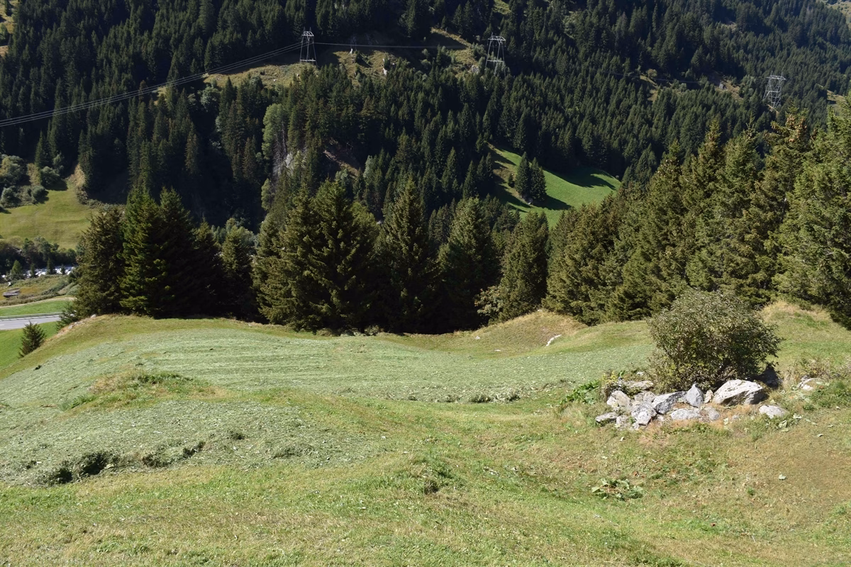 Schock-Unfall am Lukmanierpass: Landwirt schwer verletzt!
