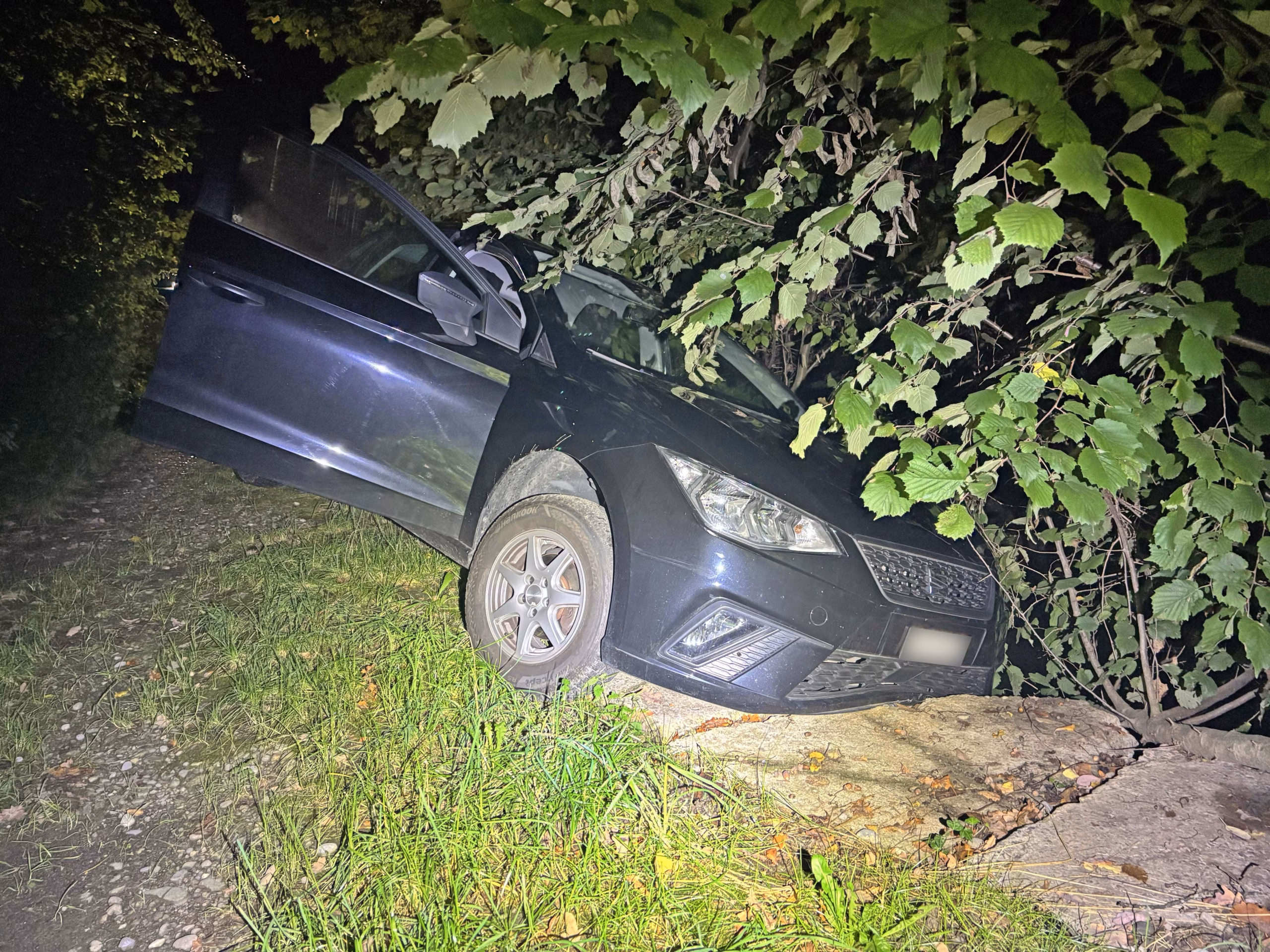 Schlafender Fahrer verursacht Unfall in Steinebrunn – Führerausweis weg!