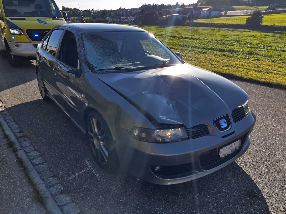 Schrecklicher Unfall: Reiterin und Pferd nach Kollision verletzt!
