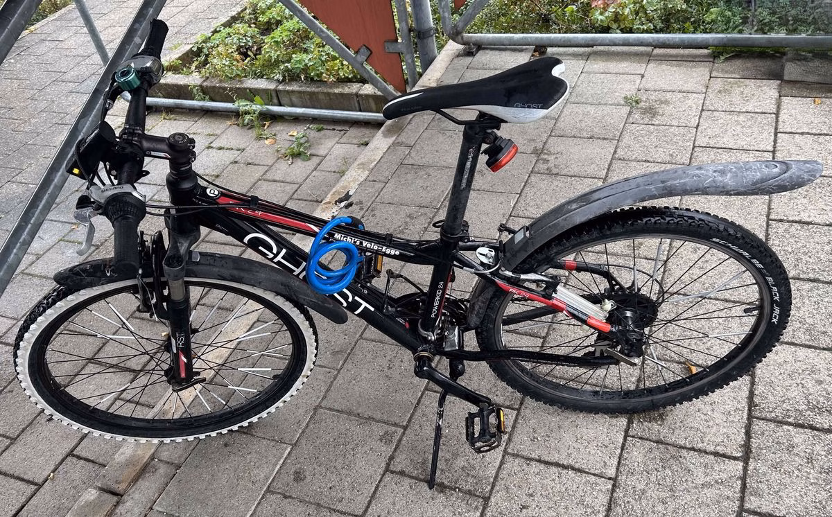 Schüler stürzt mit Fahrrad: Rettung nach Unfall in Herisau!