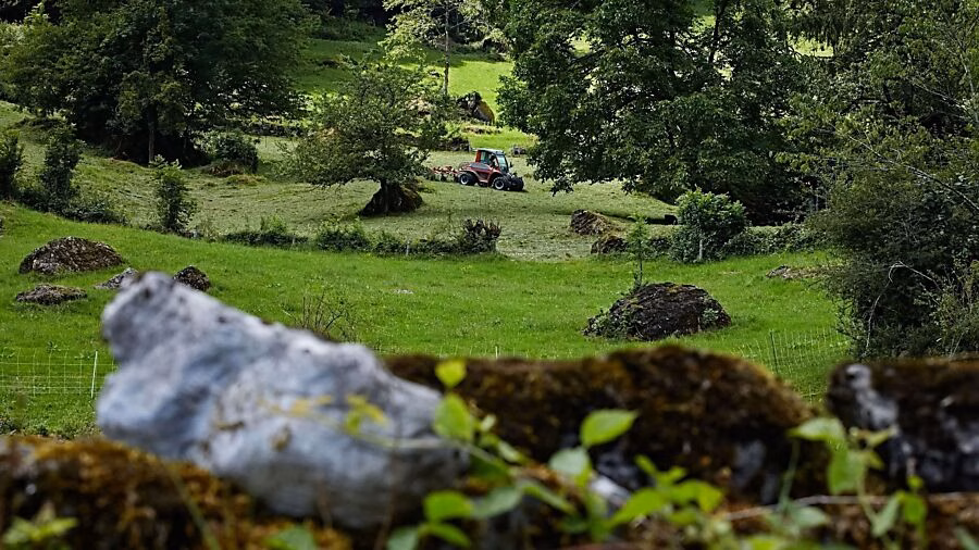 Landwirtschaftsreform: Glarus sichert 11,8 Millionen für Biodiversität!
