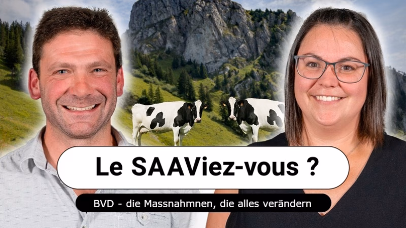 Neuer Podcast enthüllt wichtige Maßnahmen gegen Bovinen Virusdiarrhoe!