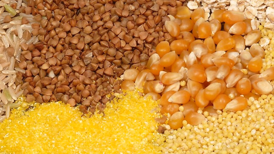 Sichere Hirse- und Buchweizenprodukte: Keine Beanstandungen in der Ostschweiz!