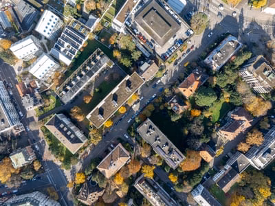 Basel plant grüne Wende: 32 Bäume für kühleres Stadtklima!