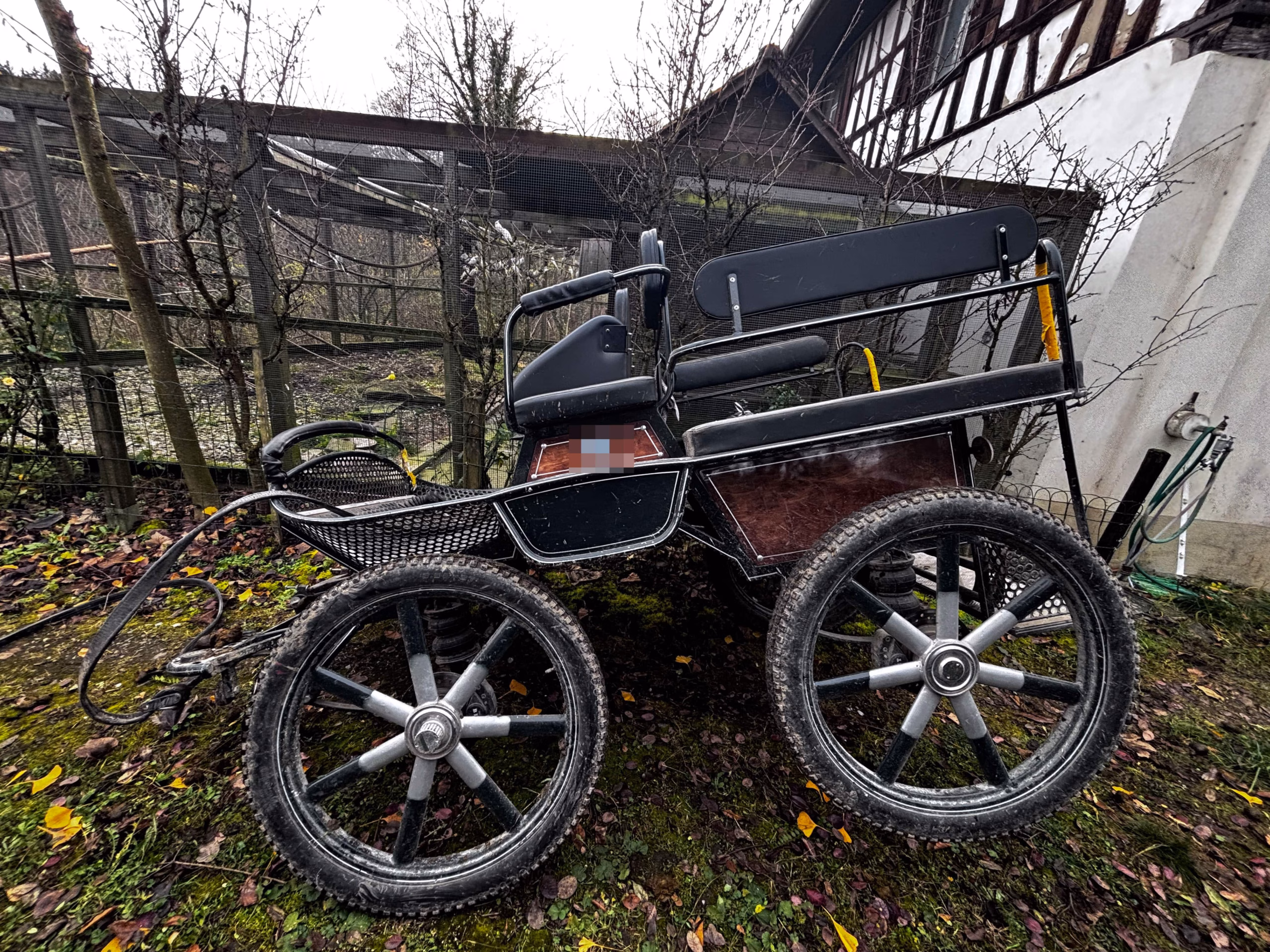 Pferdekutschen-Unfall in Amlikon: Fussgänger schwer verletzt!